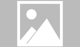 4438x视频,一场视觉与思维的盛宴